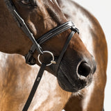 Milan Noseband - Seconds - Clearance - Lumiere Equestrian
