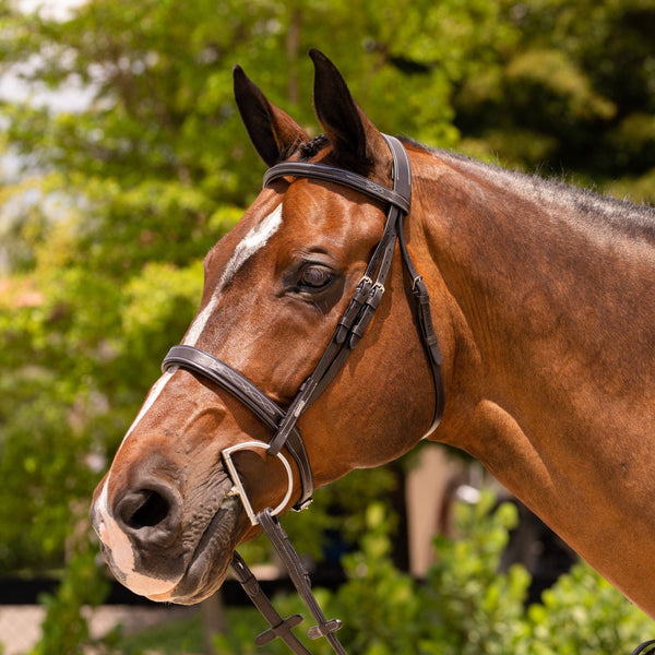 'Nouvelle' hunter bridle