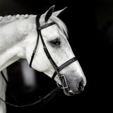 'Nouvelle' hunter bridle