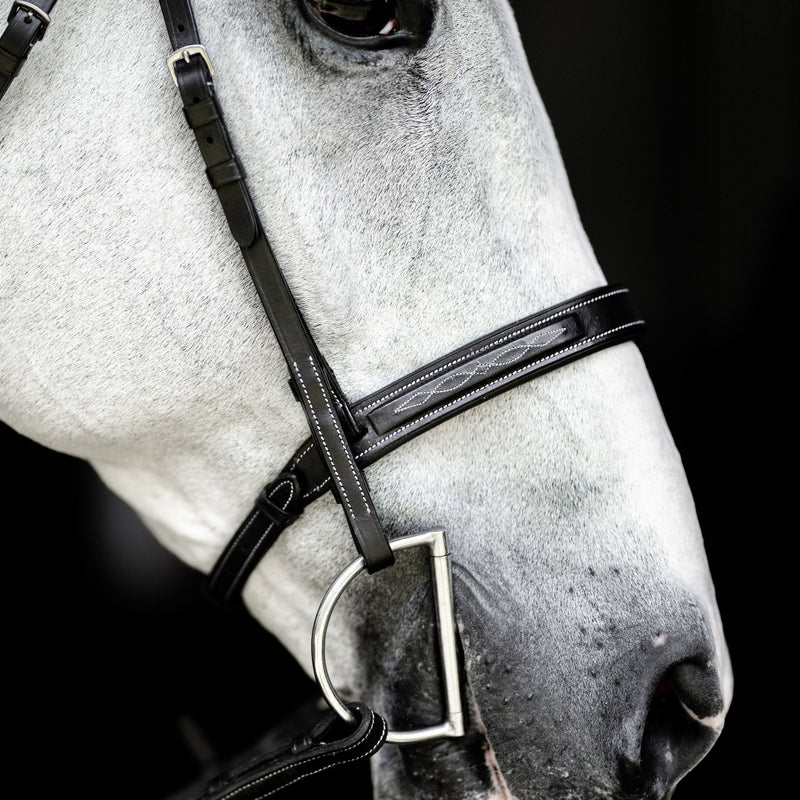 'Nouvelle' hunter bridle