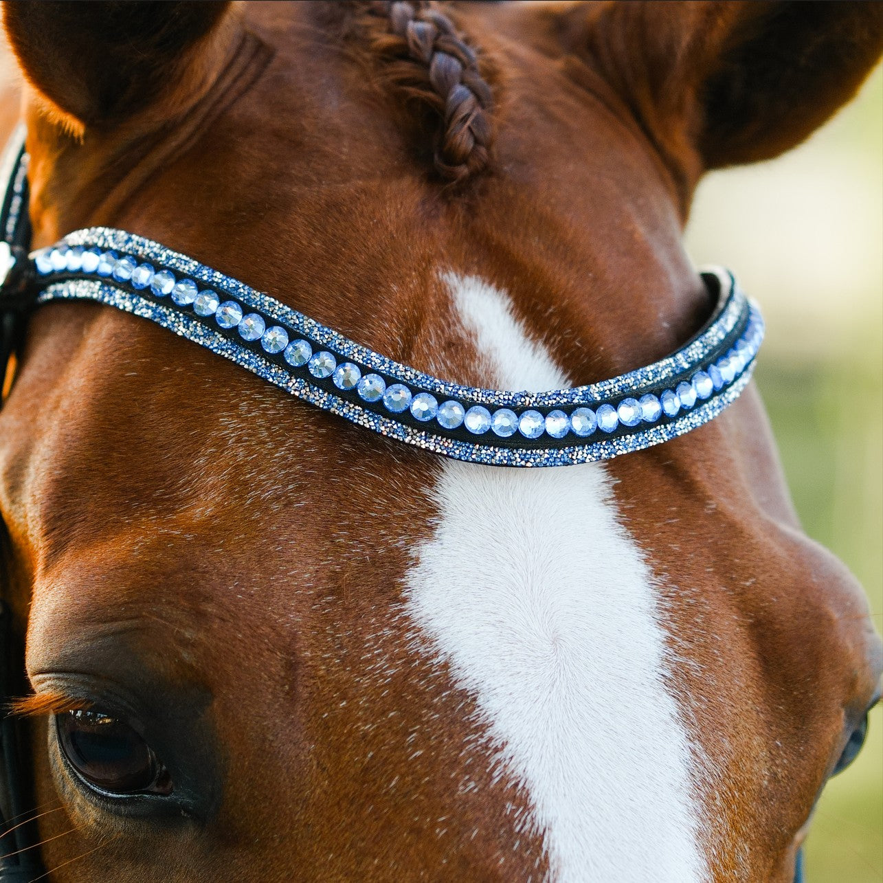 Paris bridle