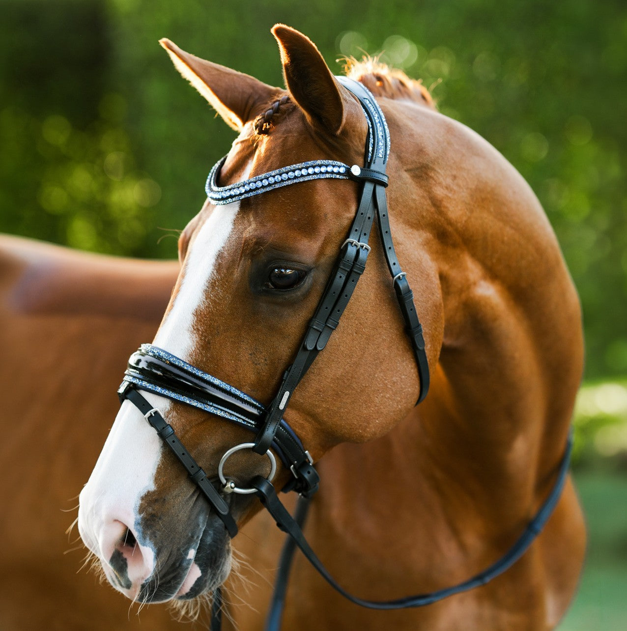 Paris bridle