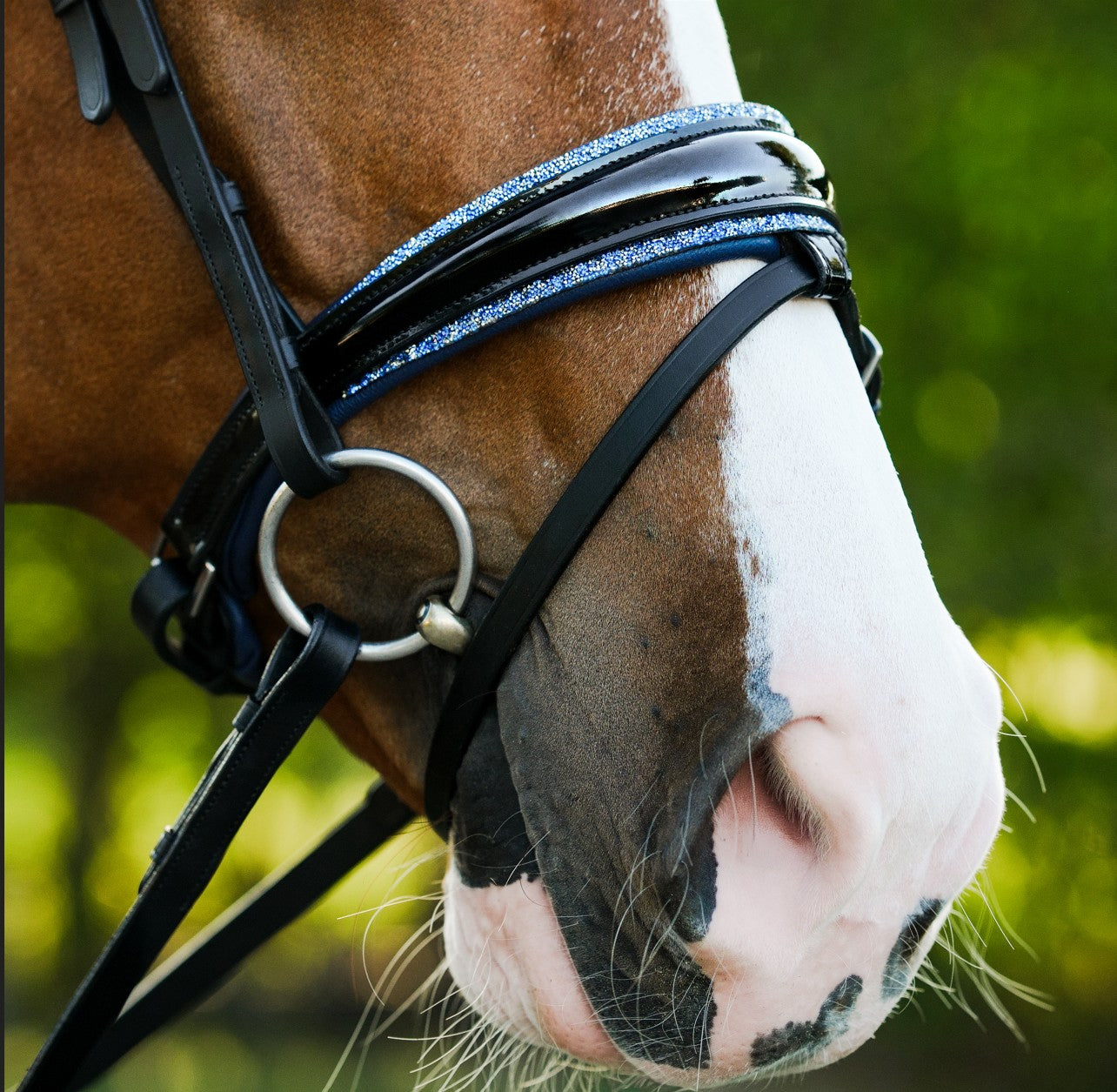 Paris bridle