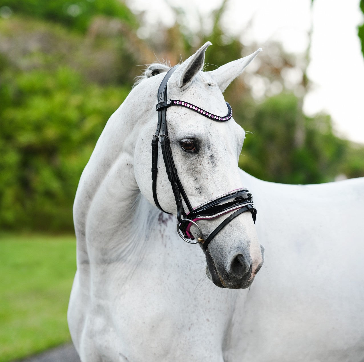 Perla bridle