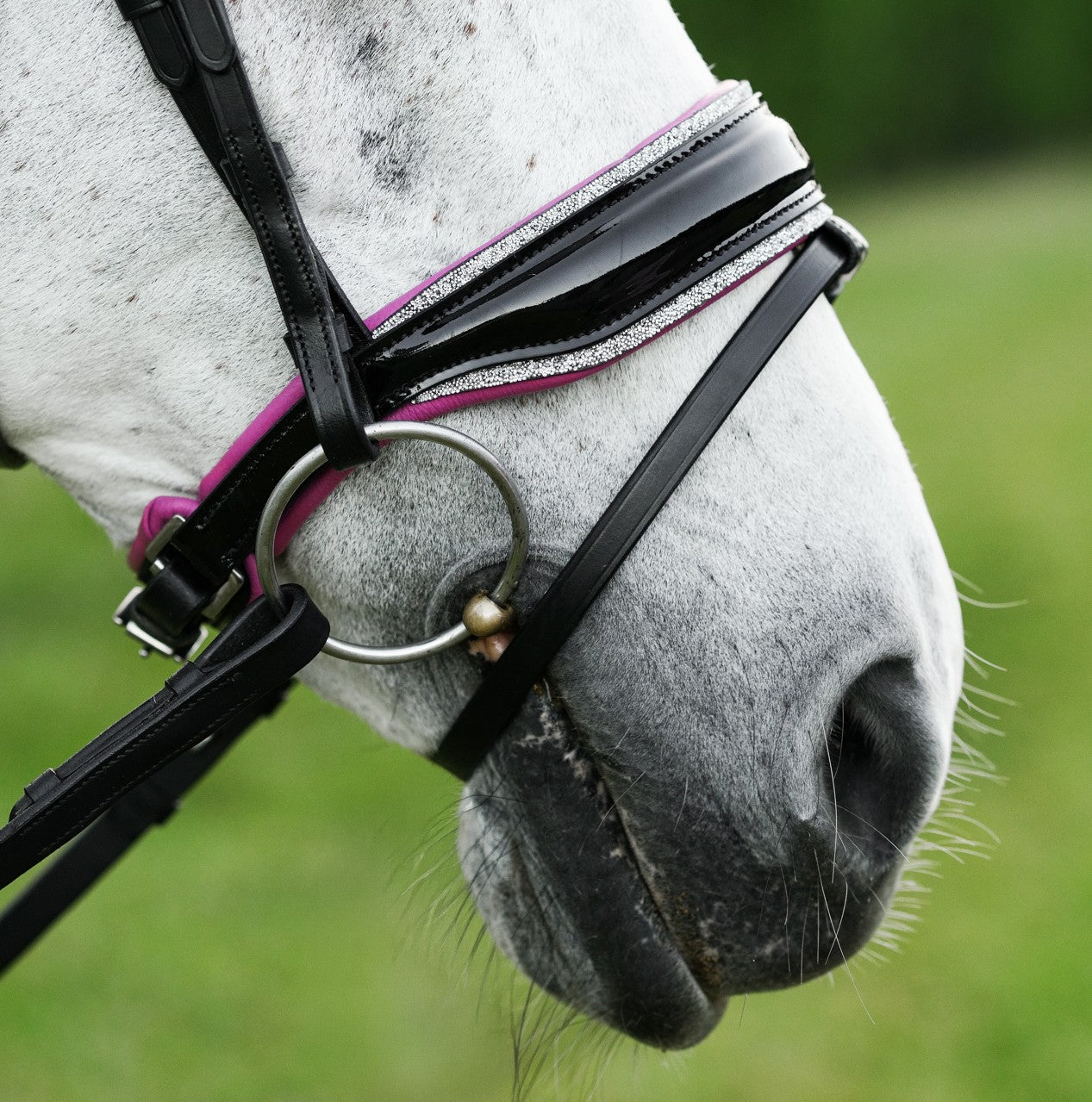 Perla bridle