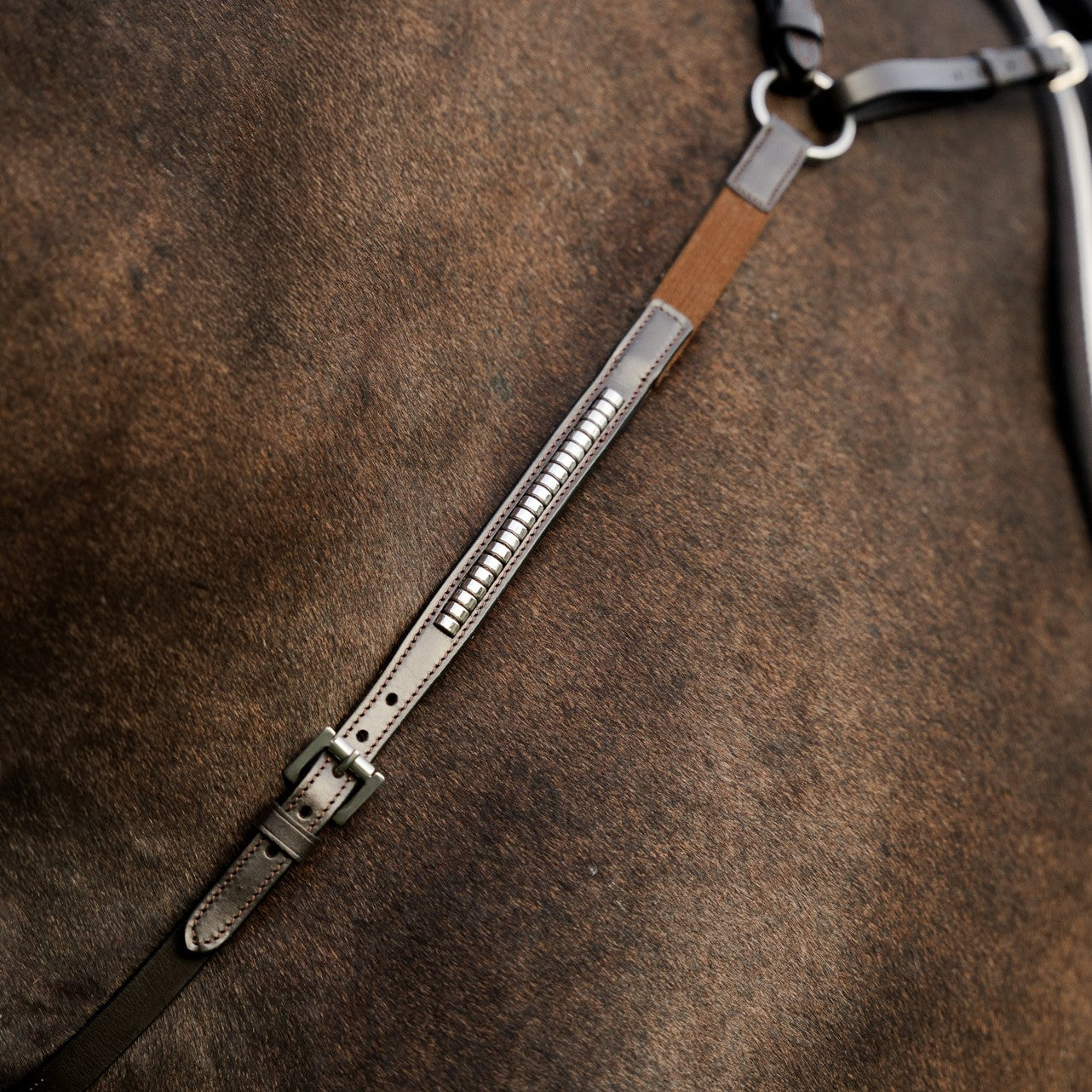 Perseus breastplate
