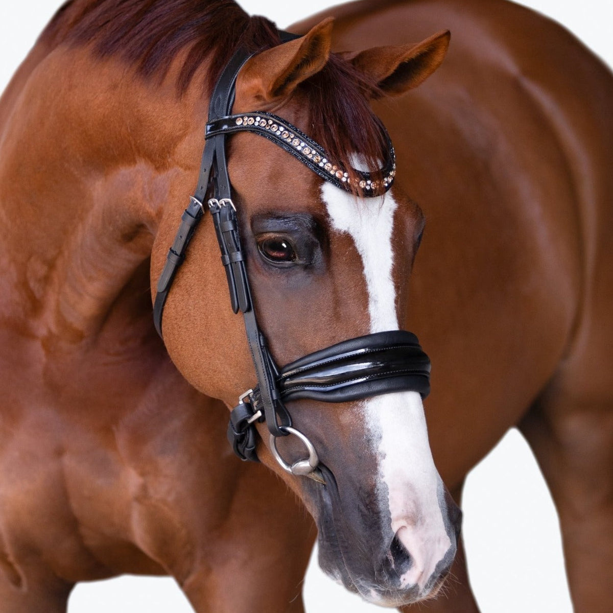 'Ariana' bridle (cavesson)