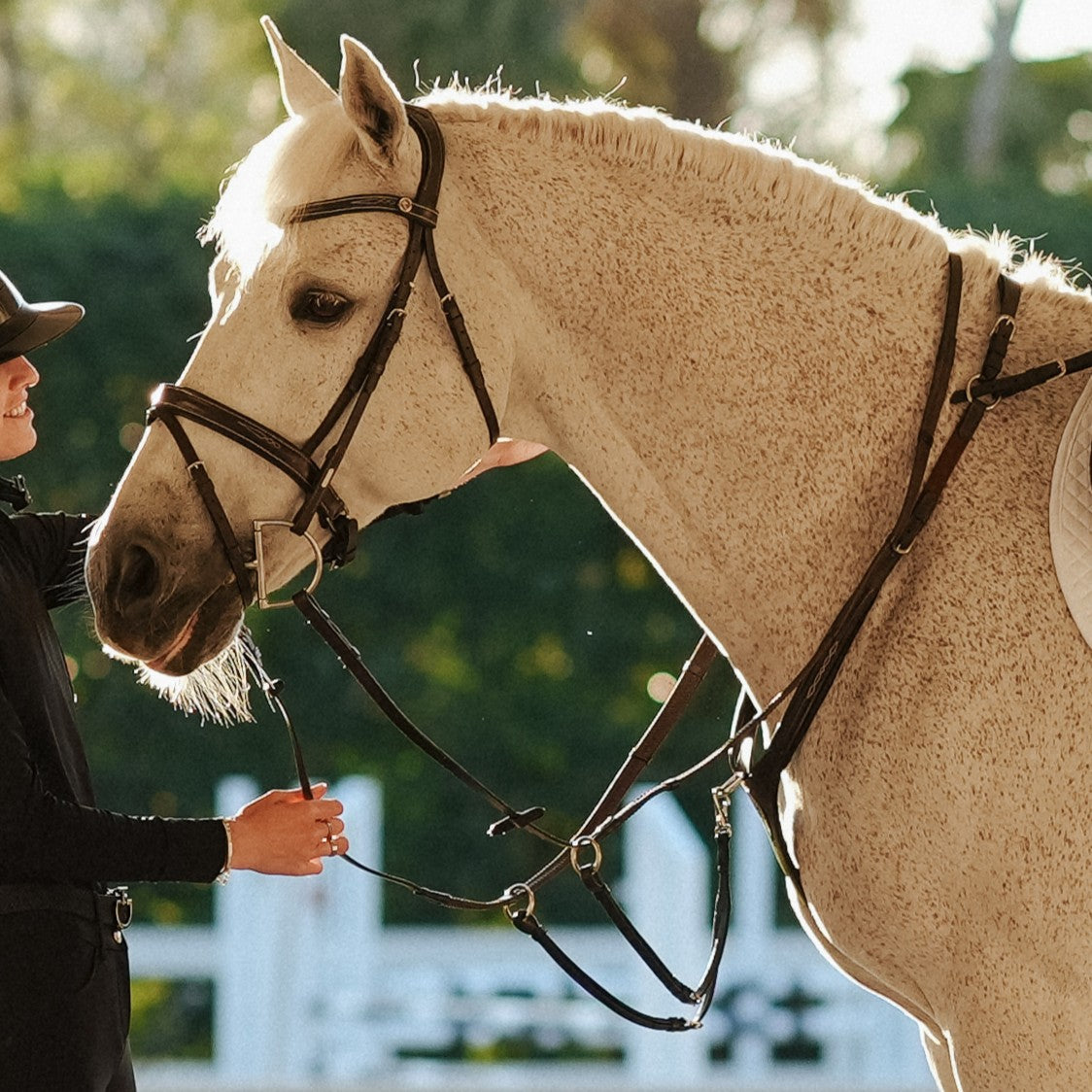 Victory 3 Point Horse Breastplate - Lumiere Canada