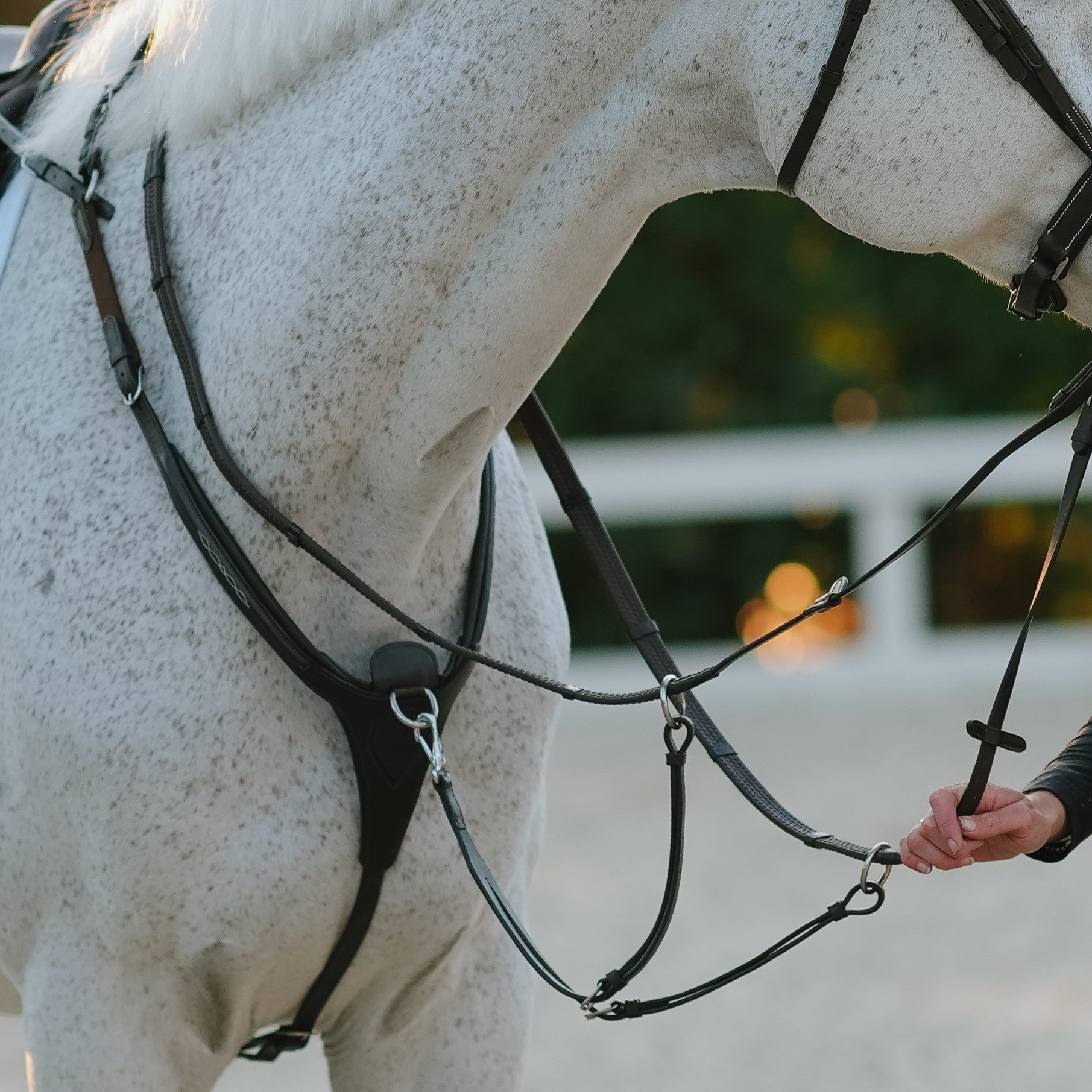 Victory 3 Point Horse Breastplate - Lumiere Canada