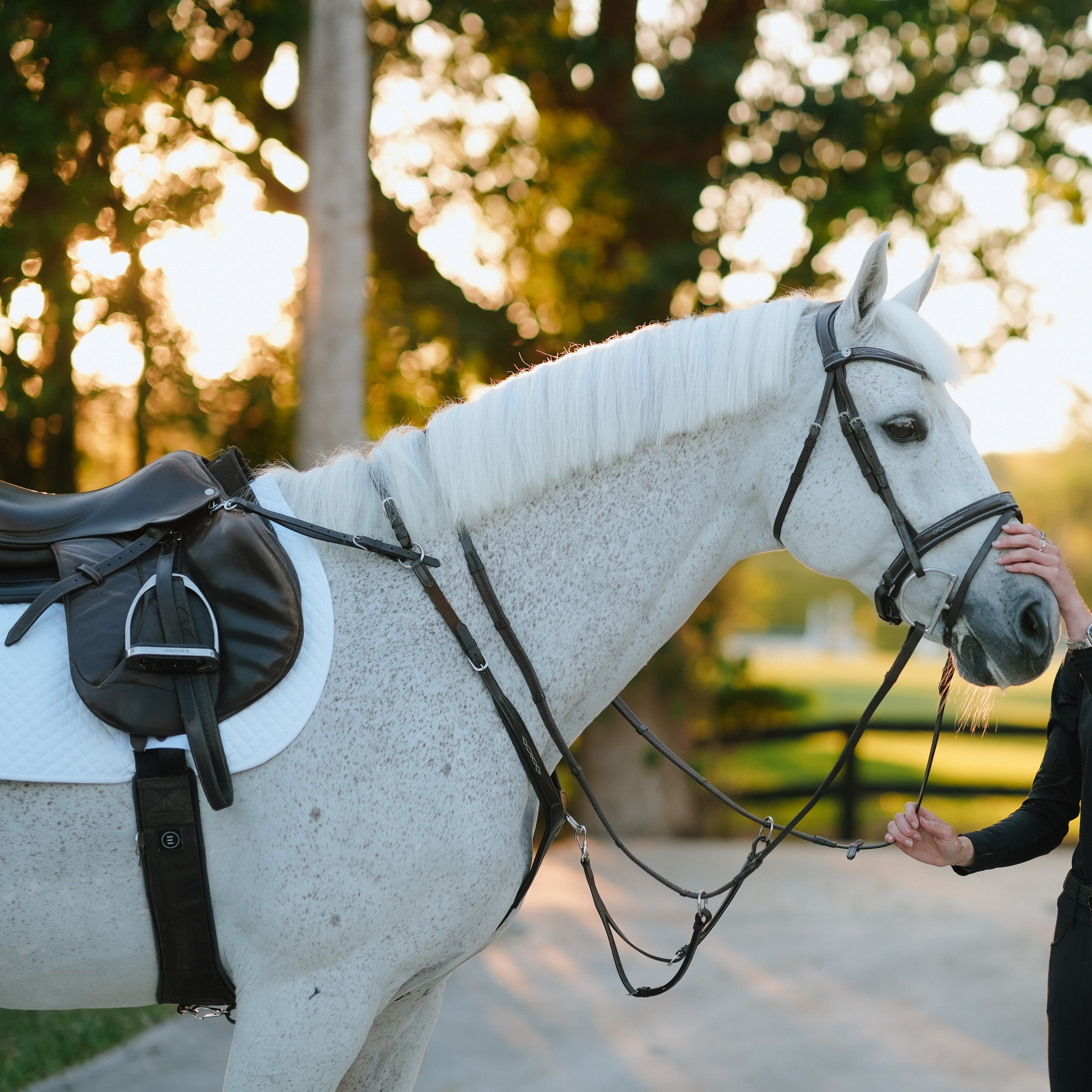 ‘Victory' 3-point Leather Breastplate