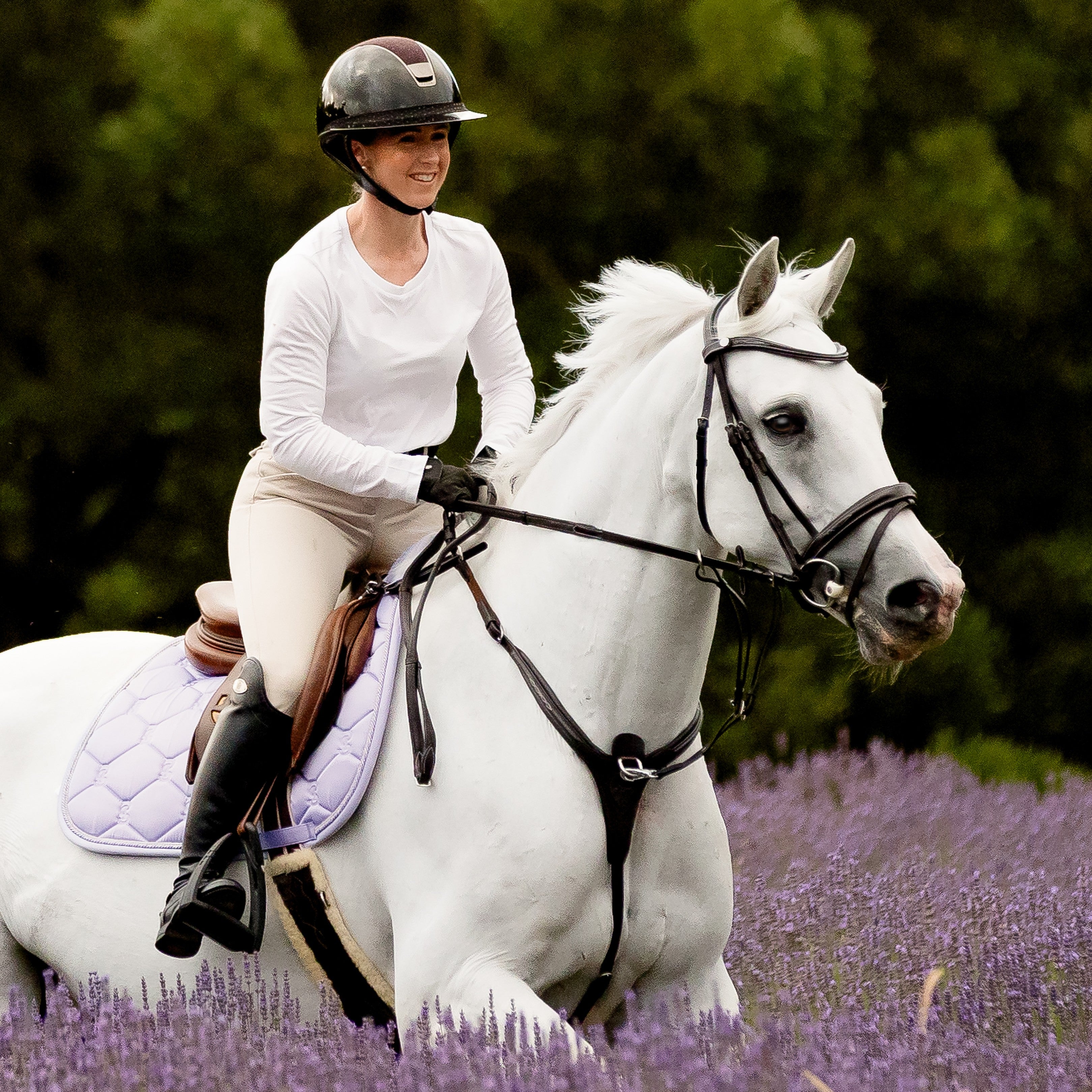 Victory 3 Point Horse Breastplate - Lumiere Canada
