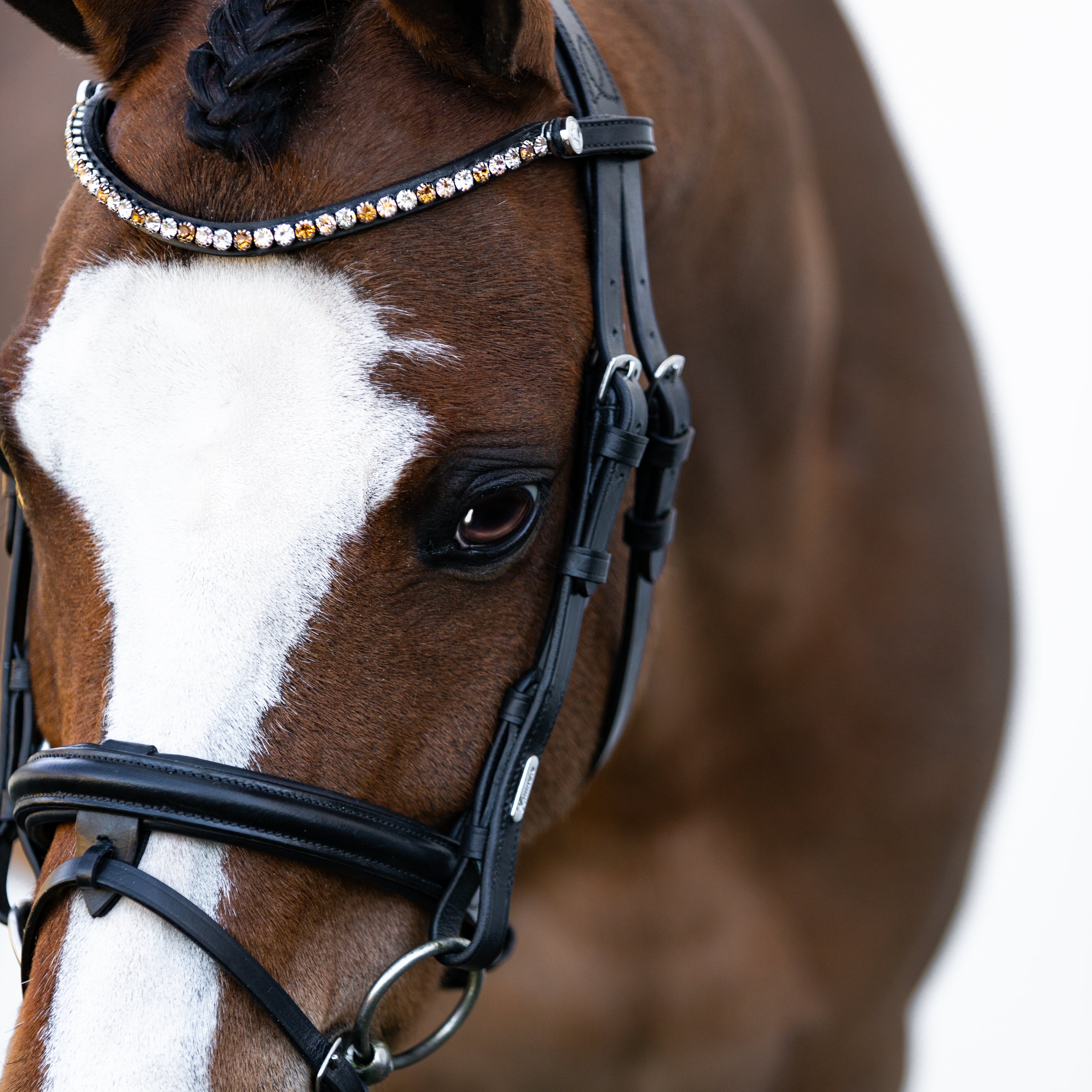 'Megan' convertible leather bridle (Lumi Pony) - Lumiere Equestrian