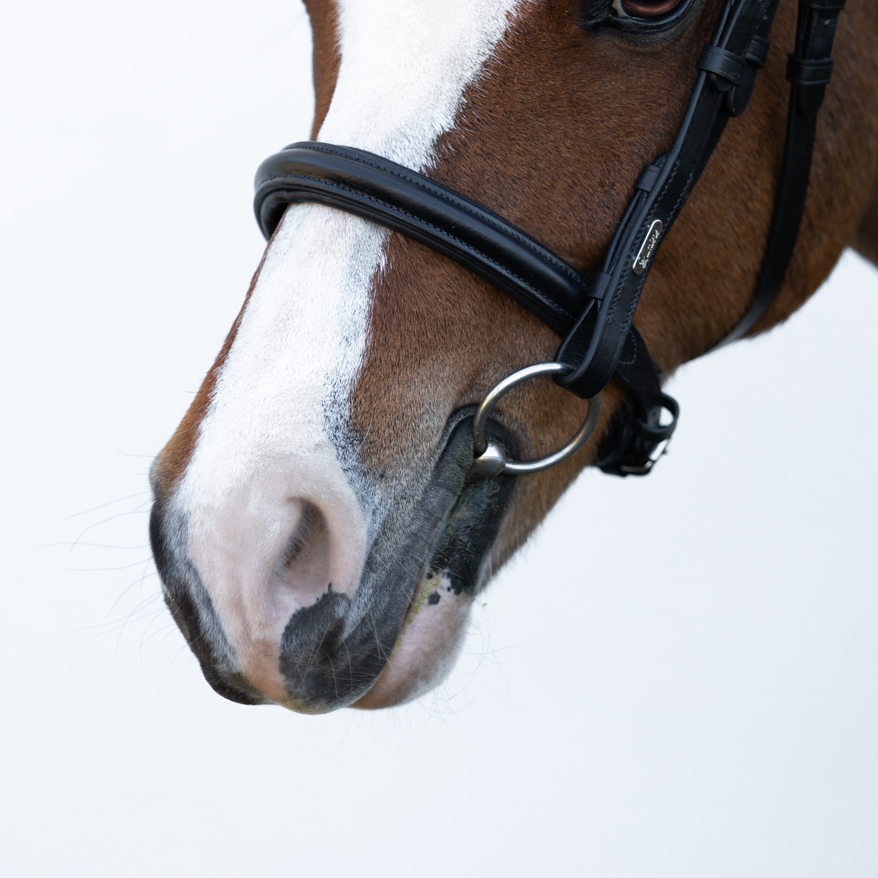 'Megan' convertible leather bridle (Lumi Pony) - Lumiere Equestrian