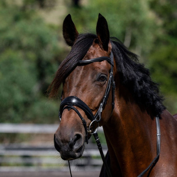 Classic curved leather browband