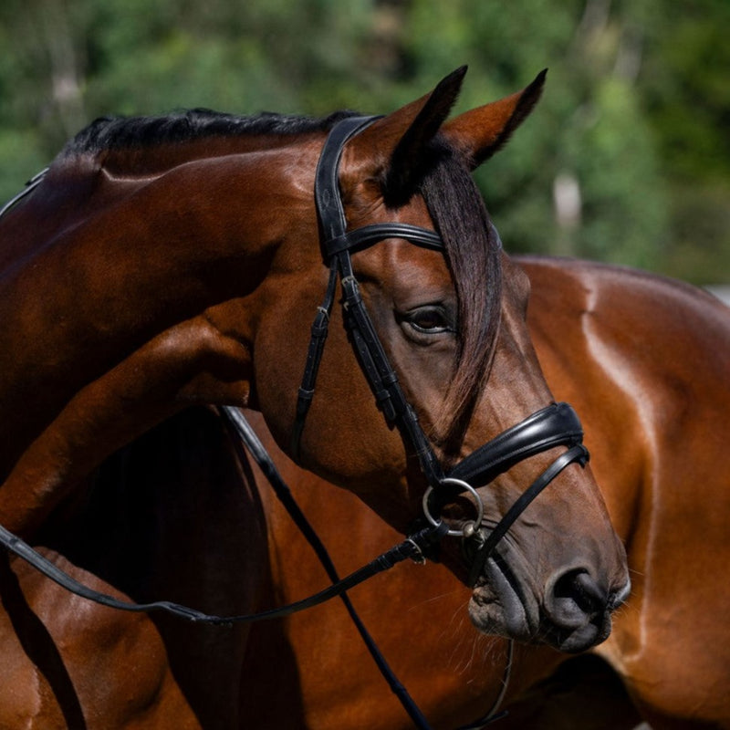 'Mikayla' Leather Bridle (Convertible)