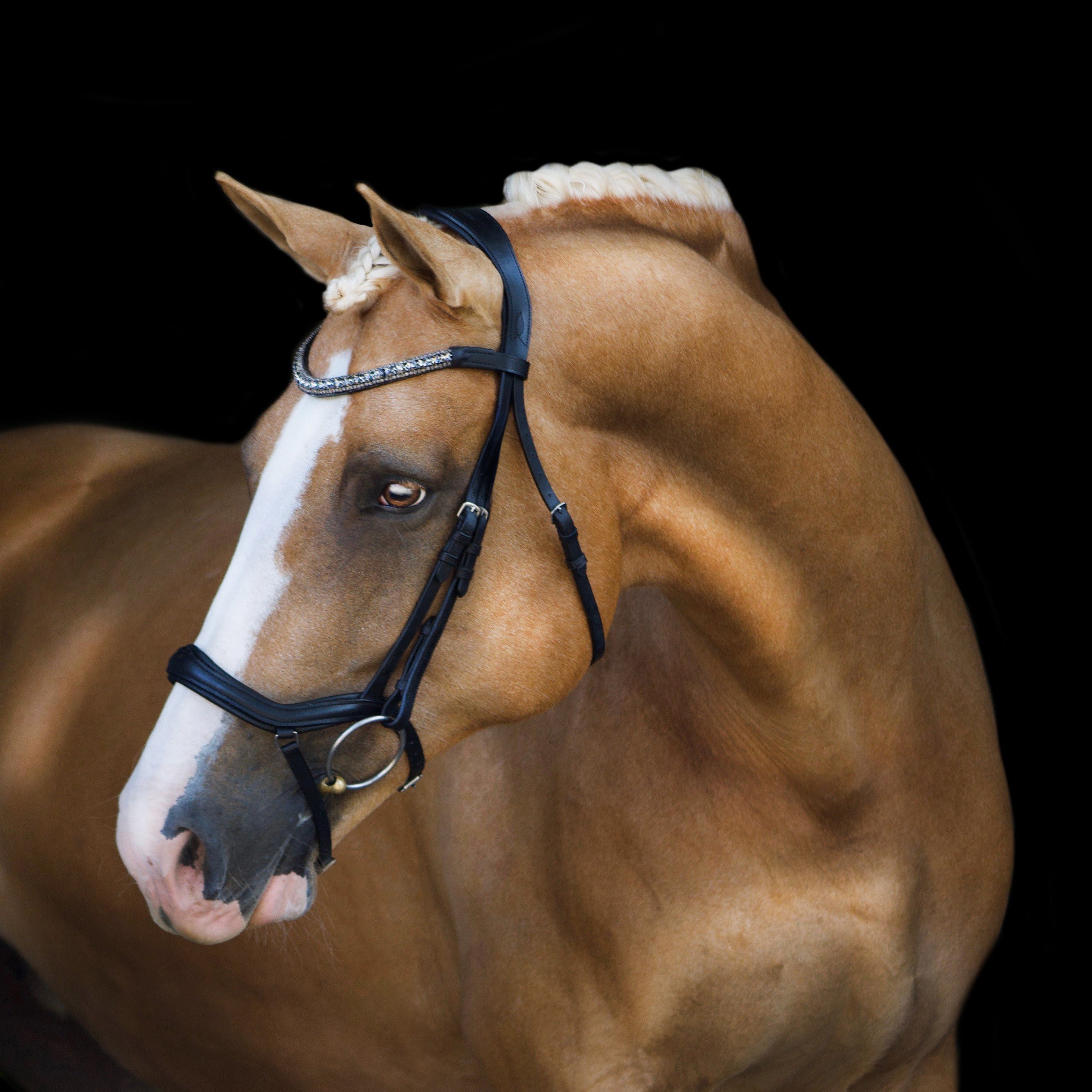 'Mila' Anatomic Leather Bridle - Lumiere Equestrian