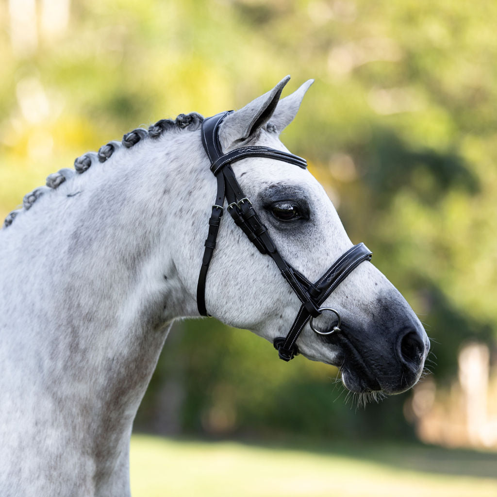 'Milan' leather bridle (convertible) (Lumi Pony) - Lumiere Equestrian