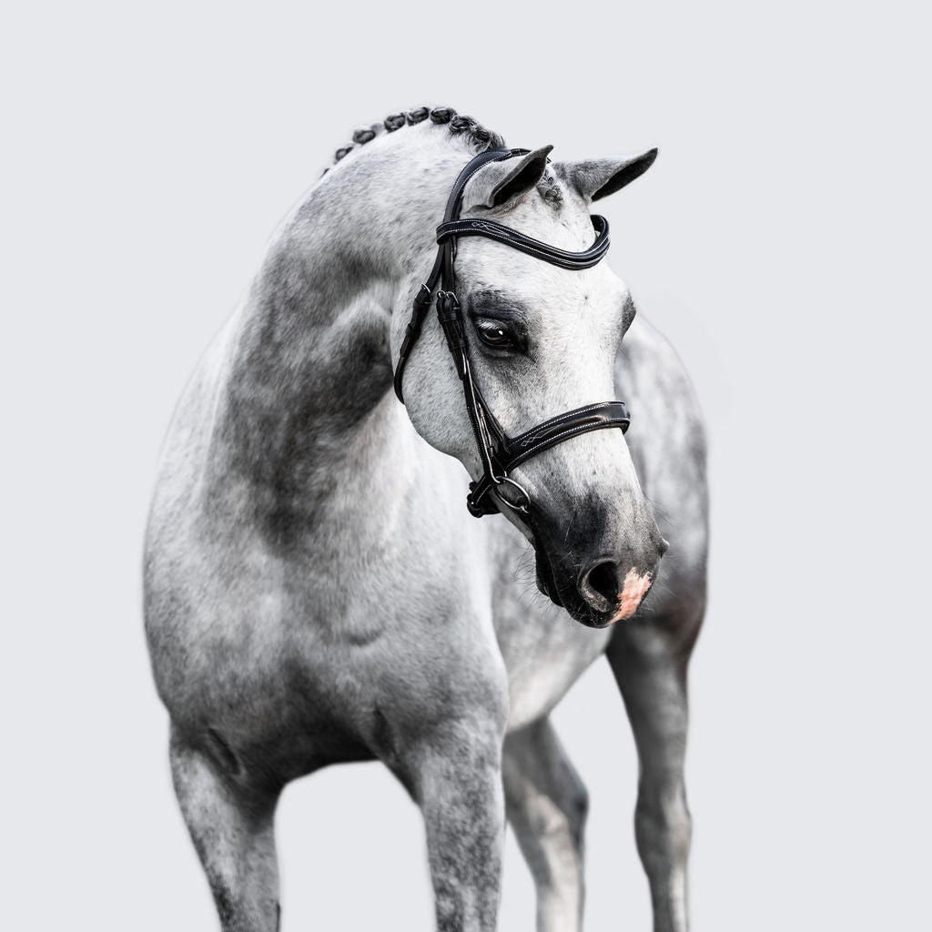 'Milan' leather bridle (convertible) (Lumi Pony) - Lumiere Equestrian