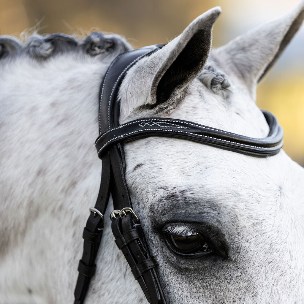 'Milan' leather bridle (convertible) (Lumi Pony) - Lumiere Equestrian