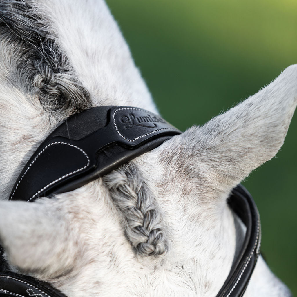 'Milan' leather bridle (convertible) (Lumi Pony) - Lumiere Equestrian
