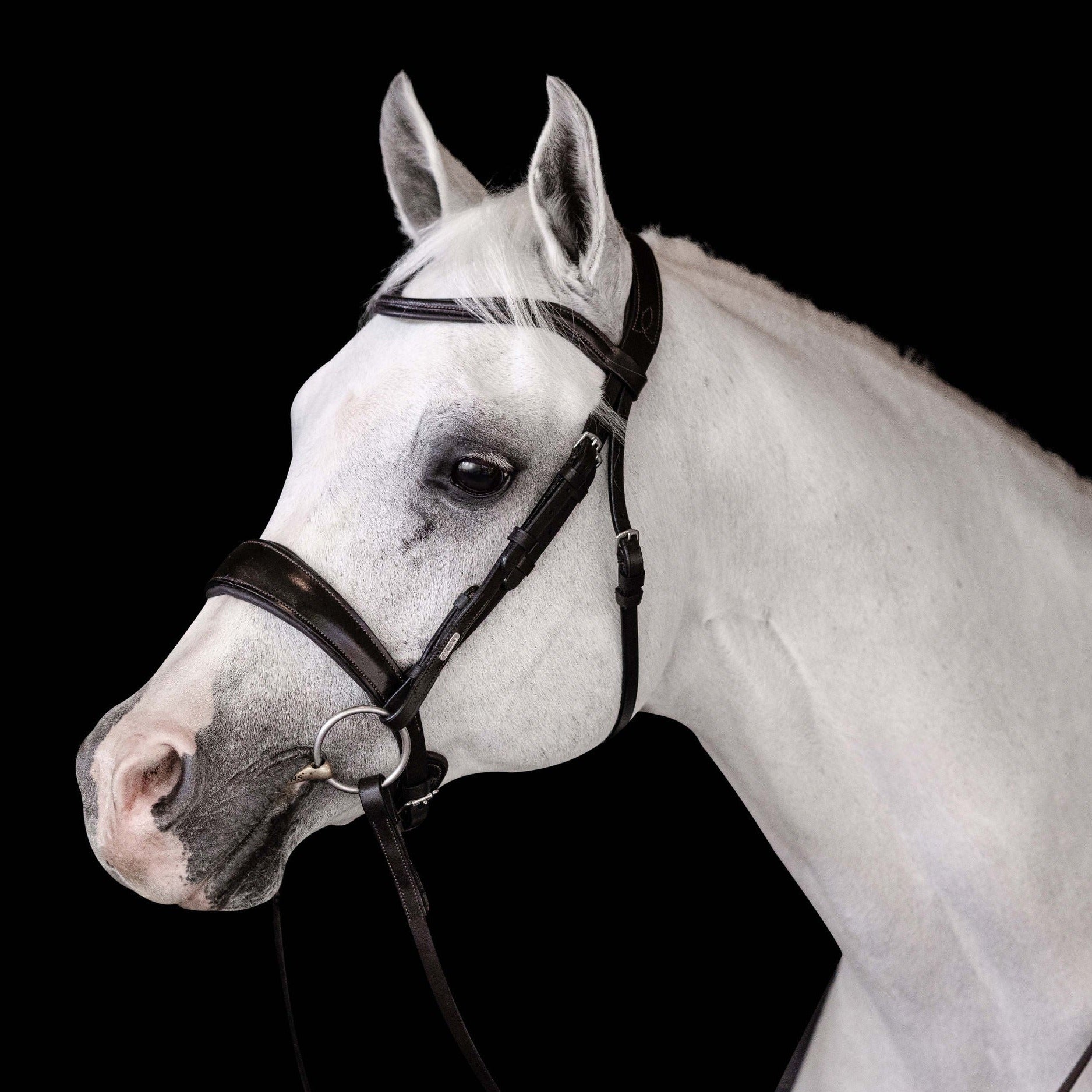 'Mikayla' Leather Bridle (Convertible) - Lumiere Equestrian