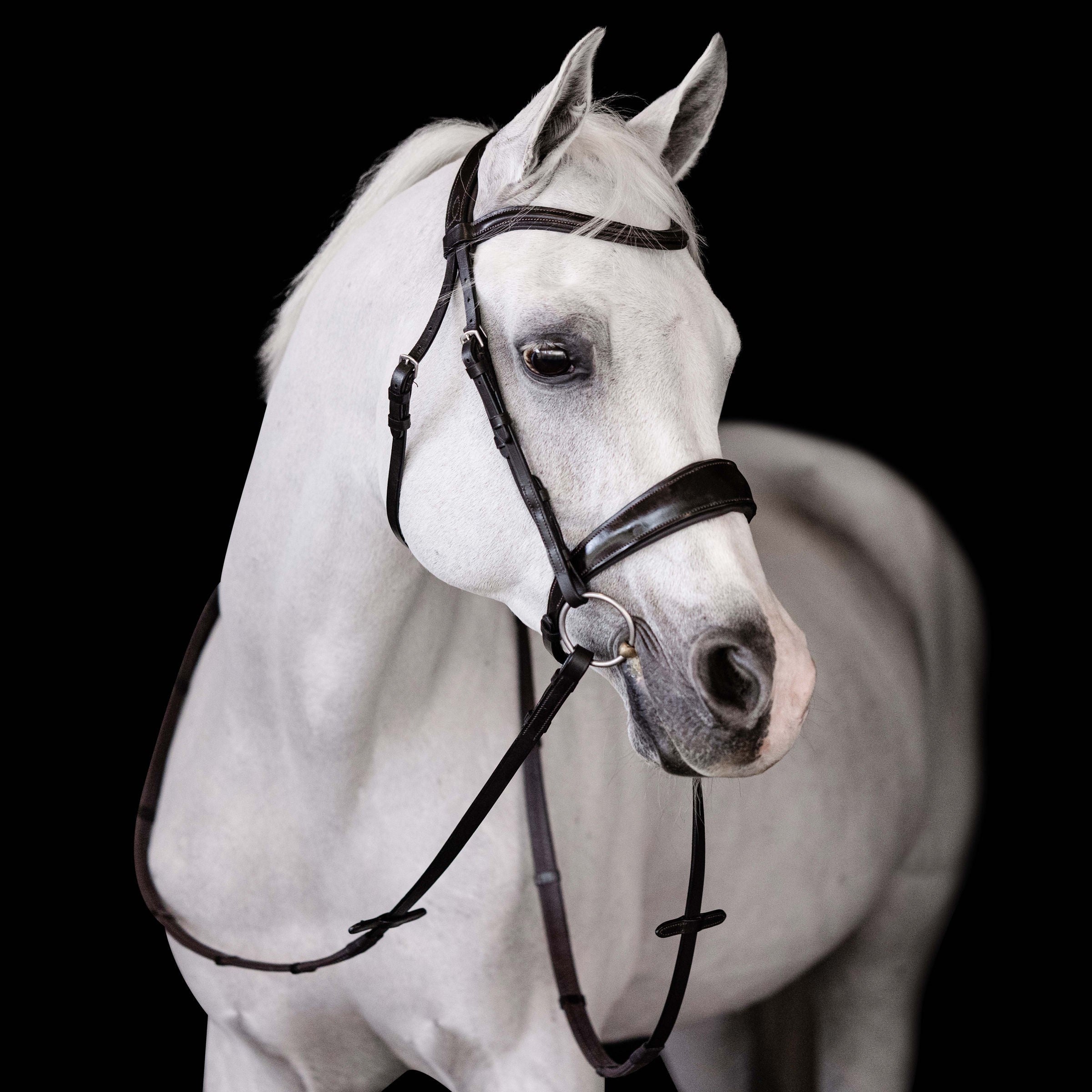 'Mikayla' Leather Bridle (Convertible) - Lumiere Equestrian