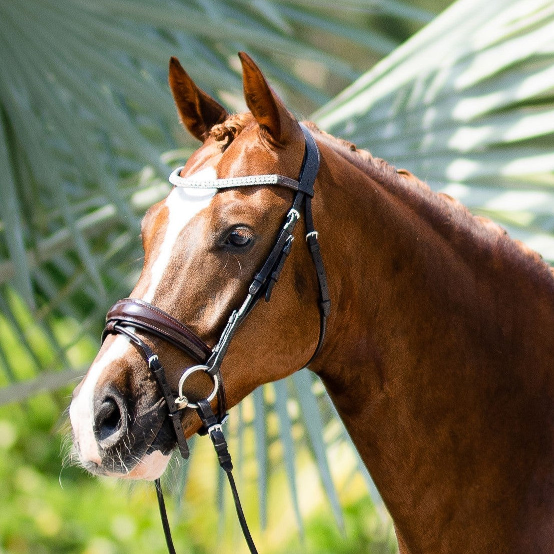 'Amie' Rolled Leather Bridle (Hanoverian) - Lumiere Equestrian