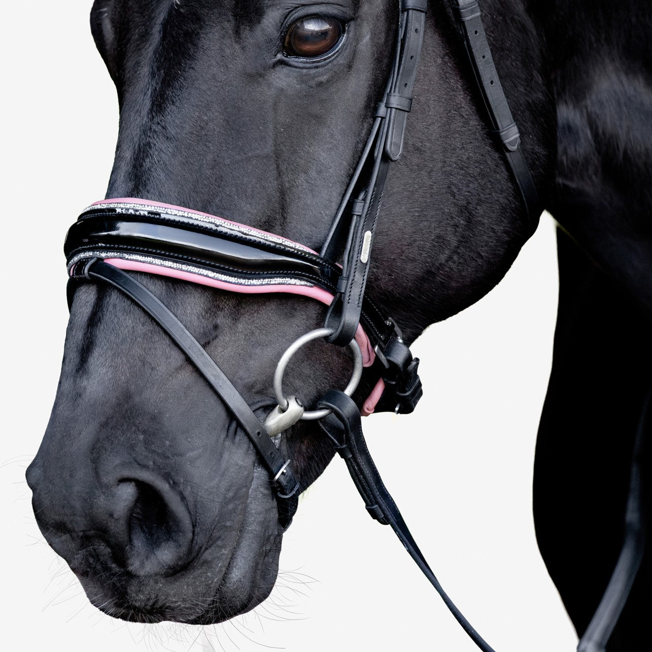 Paloma bridle