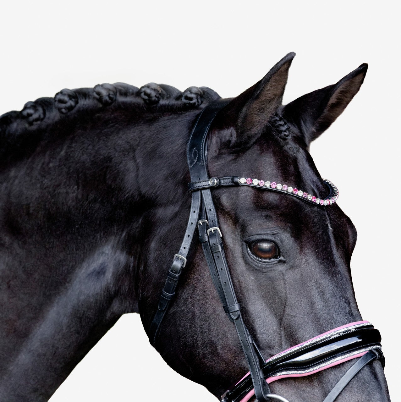 Paloma bridle