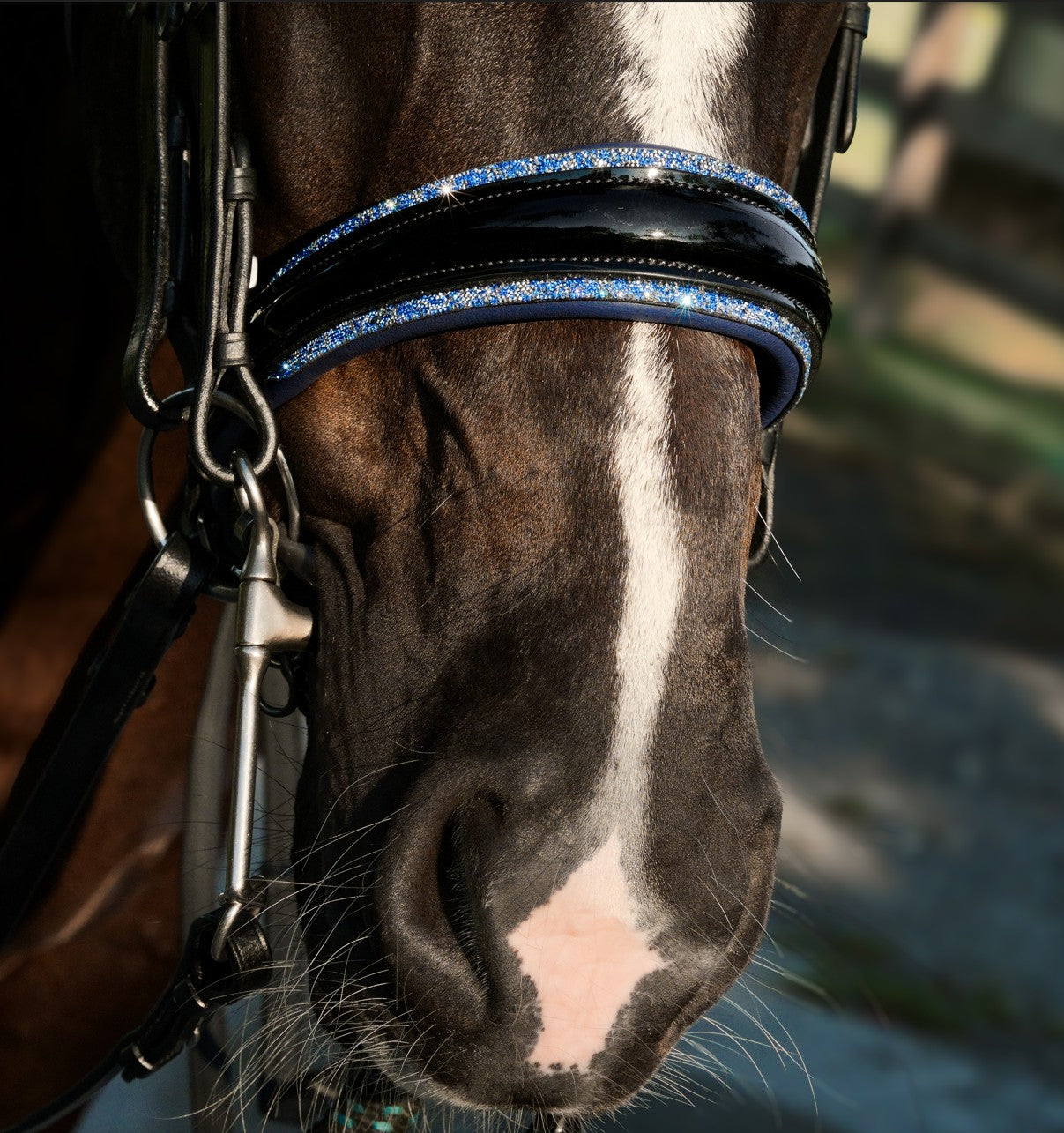 Paris bridle (double)
