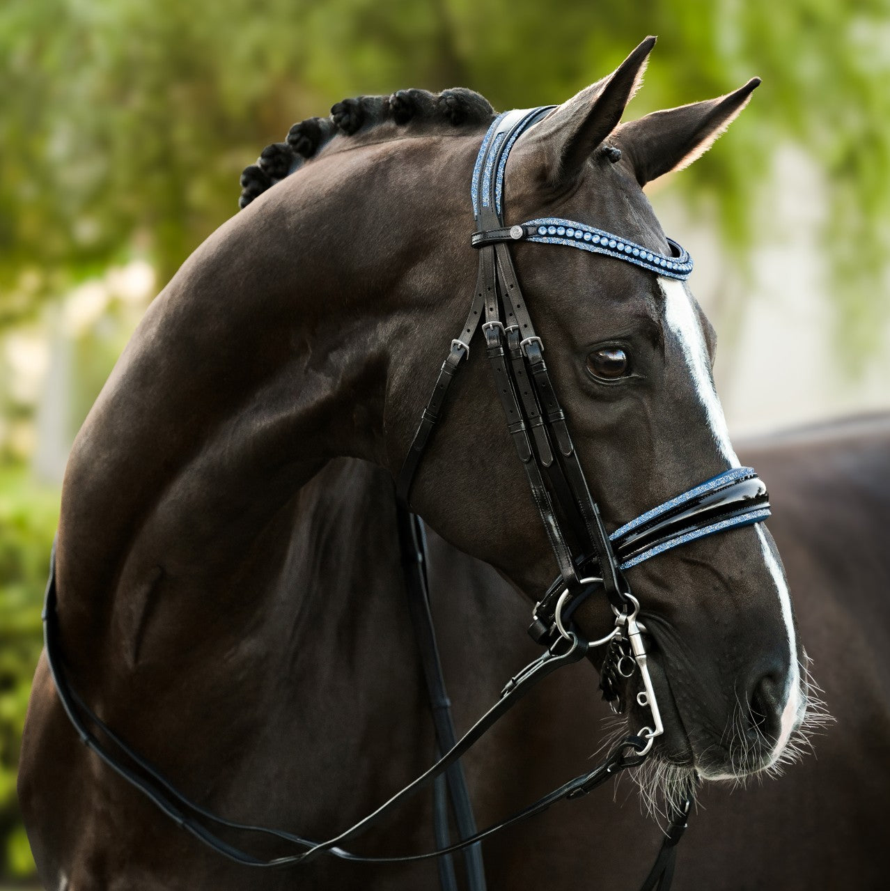 Paris bridle (double)