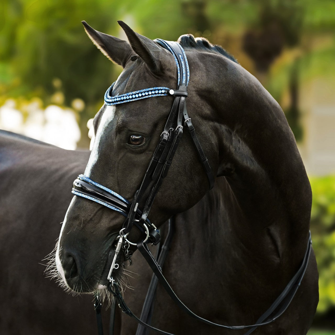 Paris bridle (double)