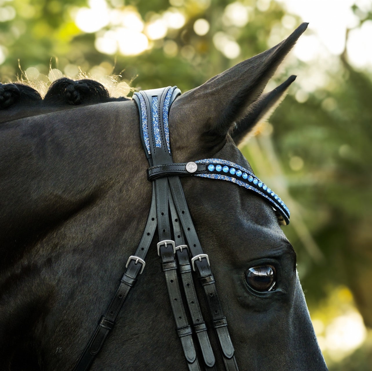 Paris Double Leather Bridle - Lumiere Canada