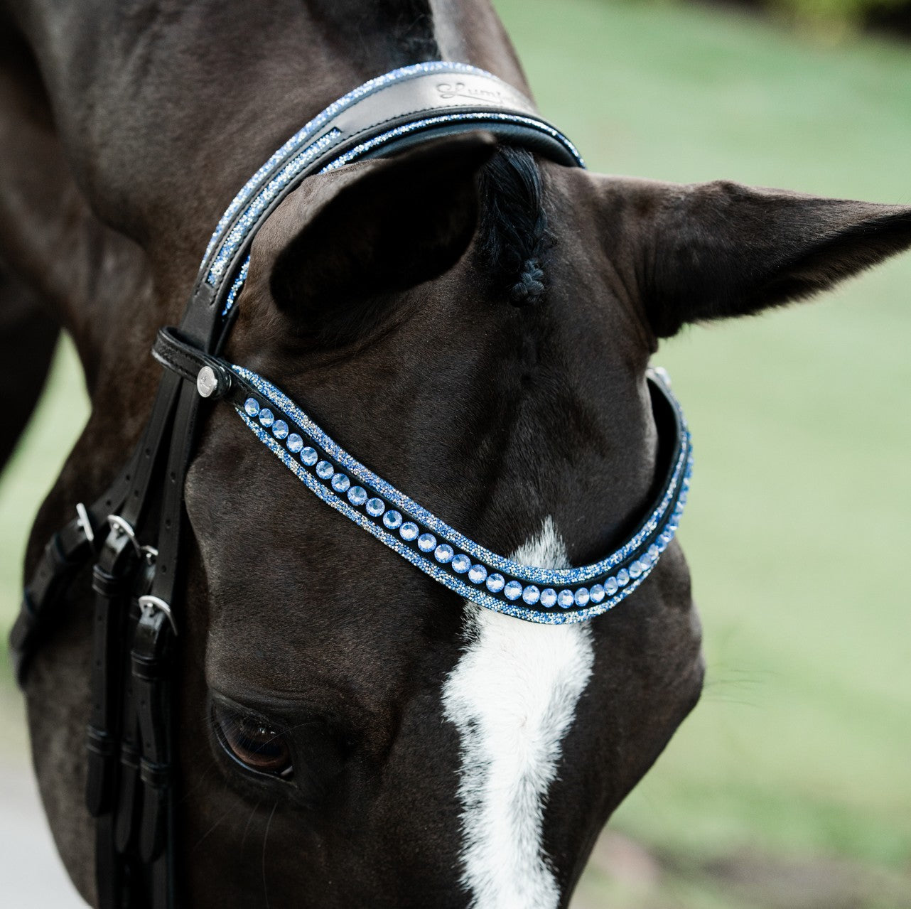 Paris Double Leather Bridle - Lumiere Canada