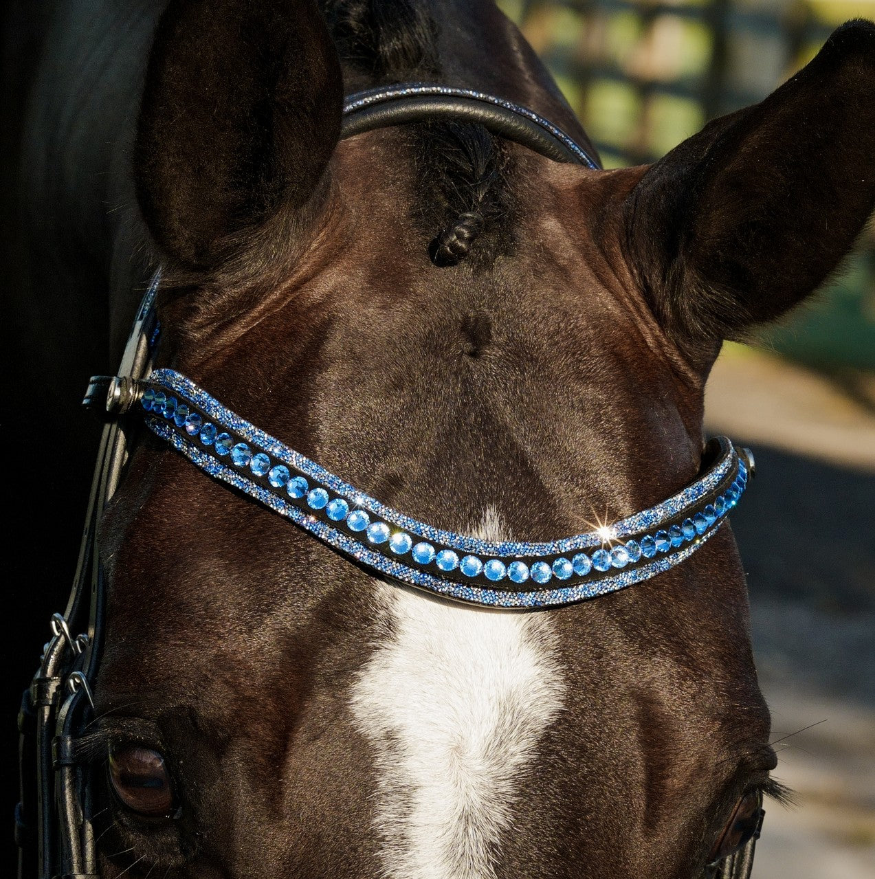 Paris bridle (double)