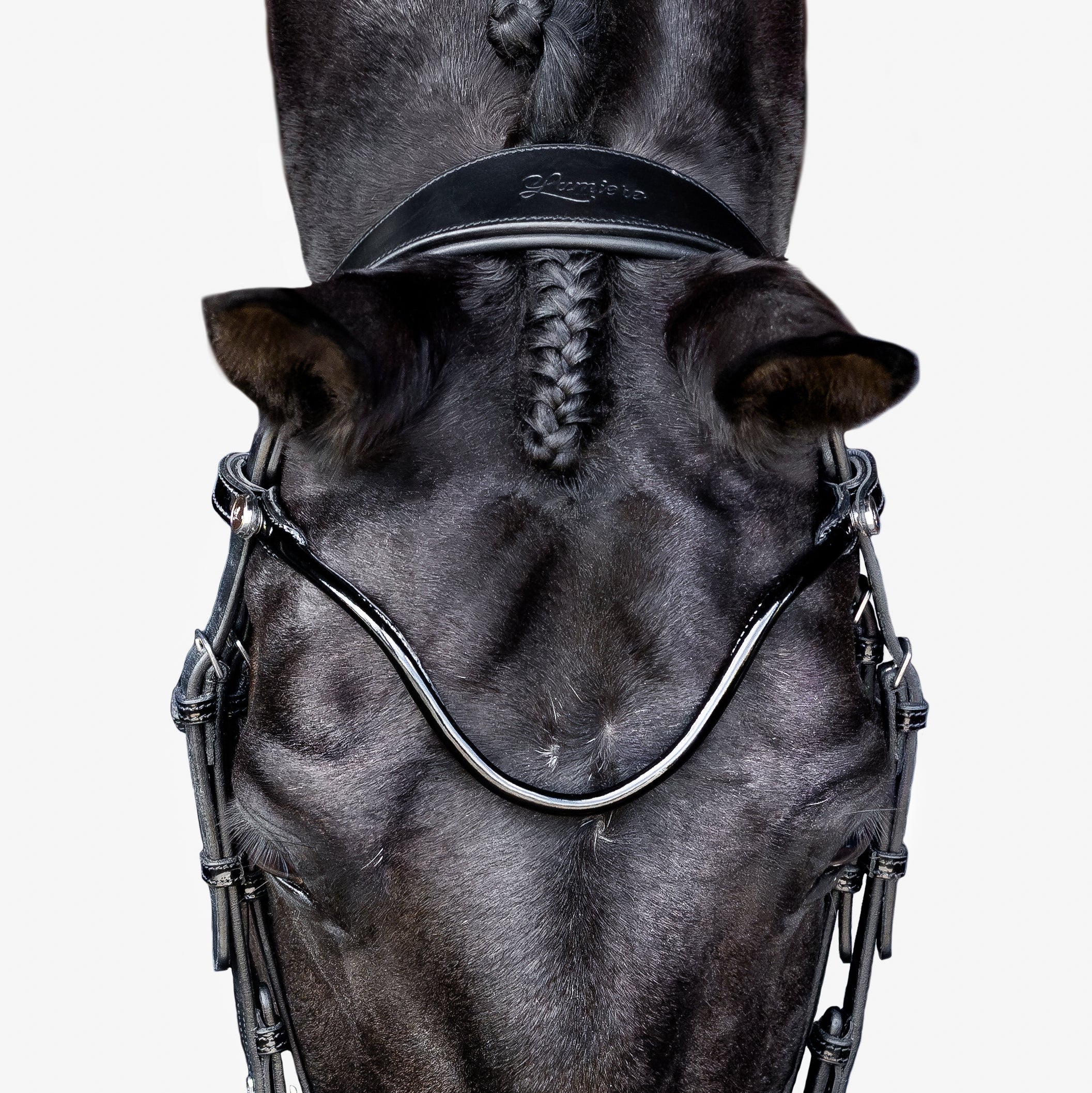 Penny bridle