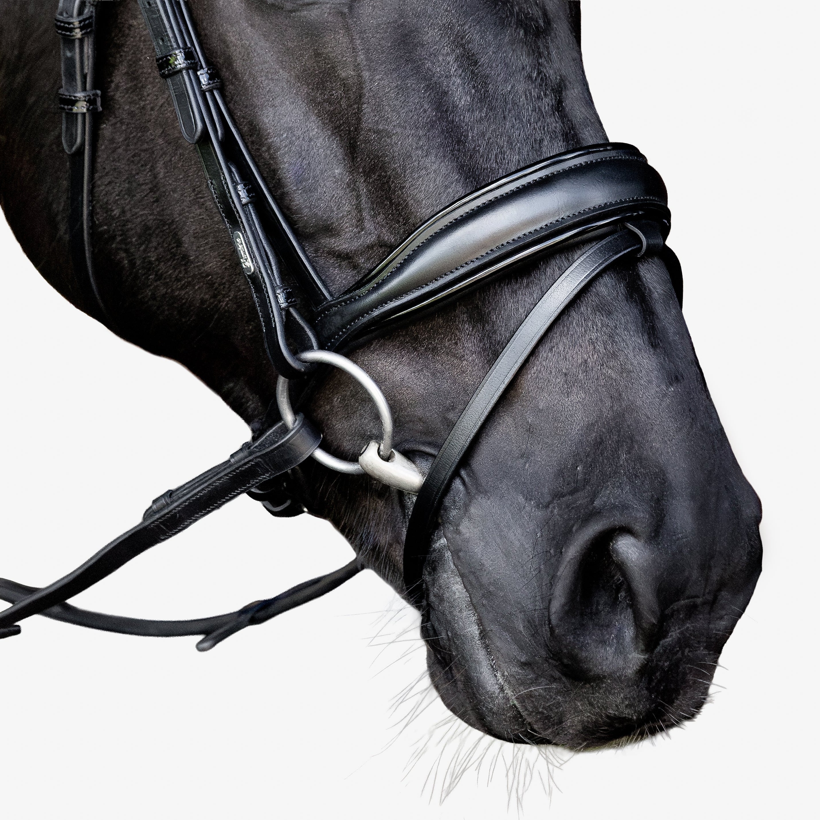 Penny bridle
