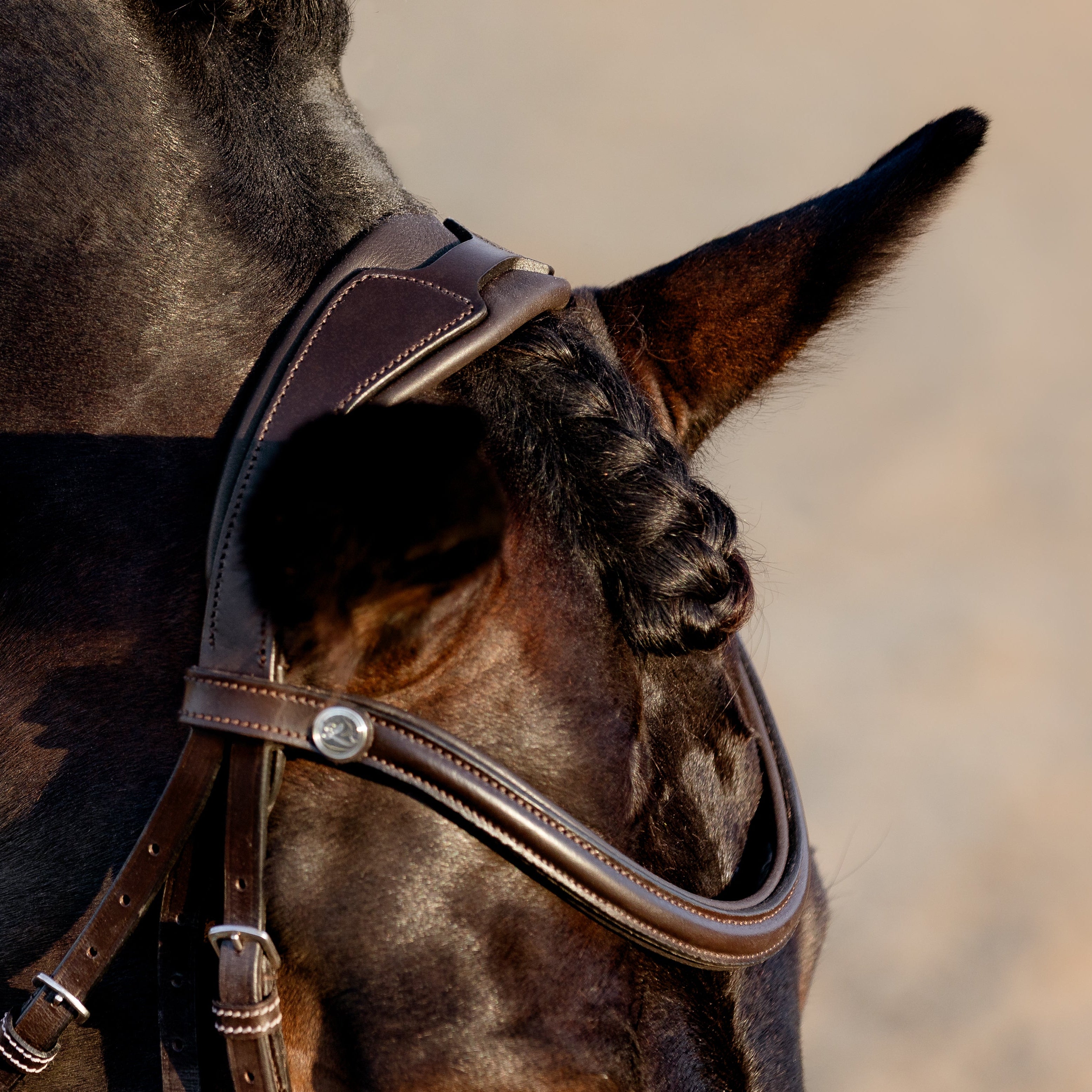 Pia grackle bridle