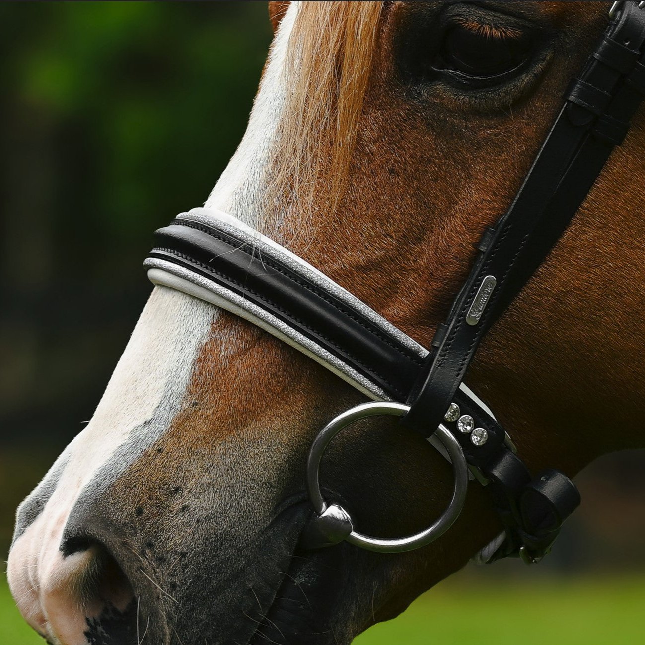 Princess bridle (Lumi Pony) - Lumiere Equestrian