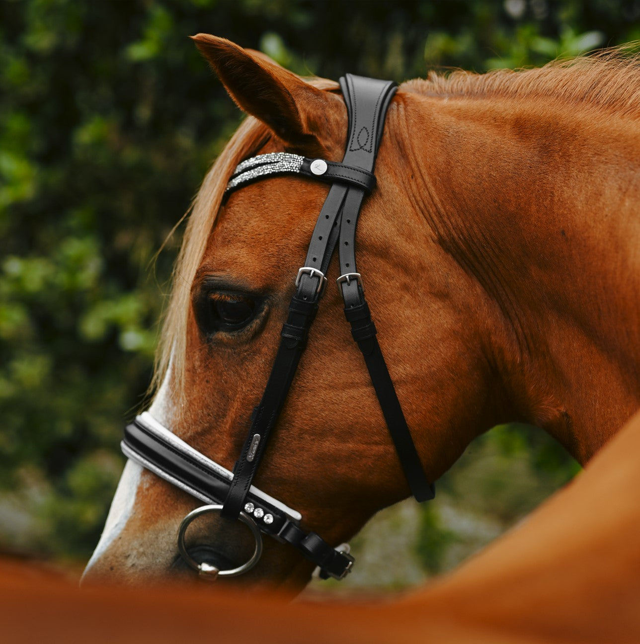 Princess bridle (Lumi Pony) - Lumiere Equestrian
