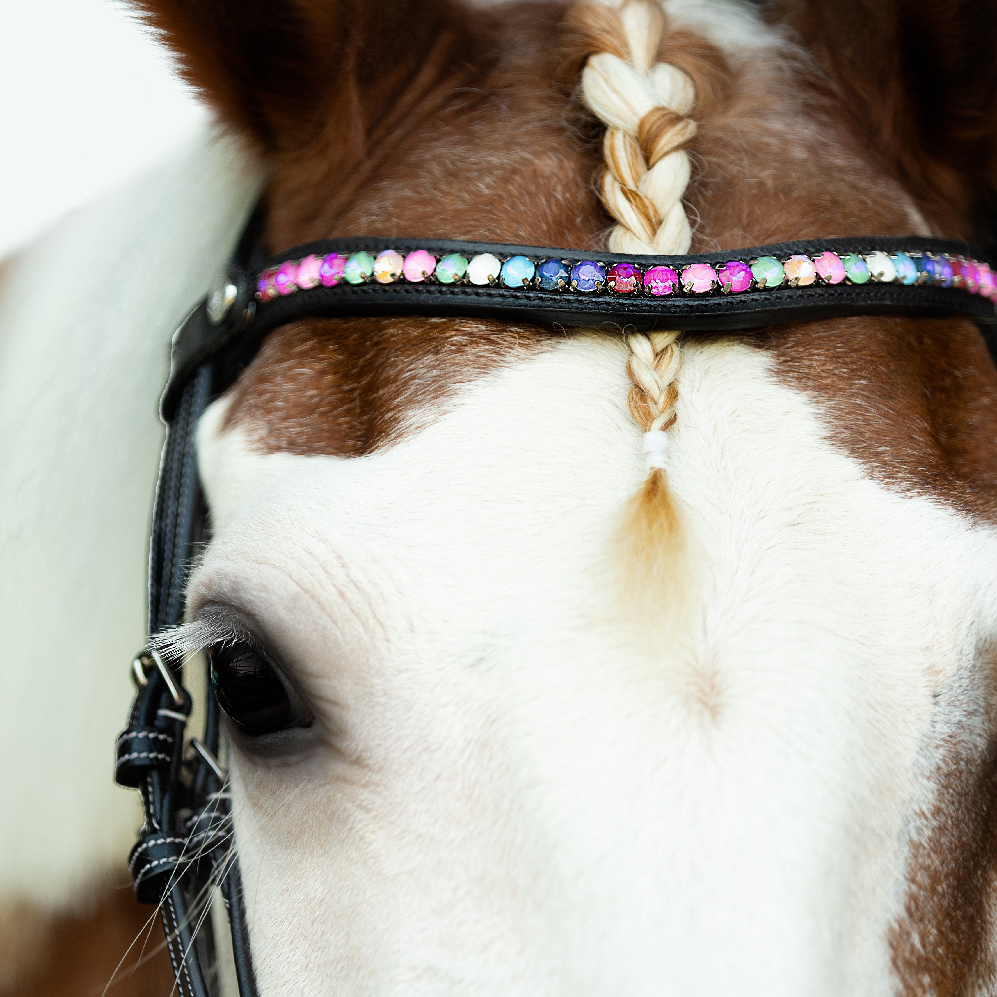 Rainbow browband (Lumi Pony) - Lumiere Equestrian