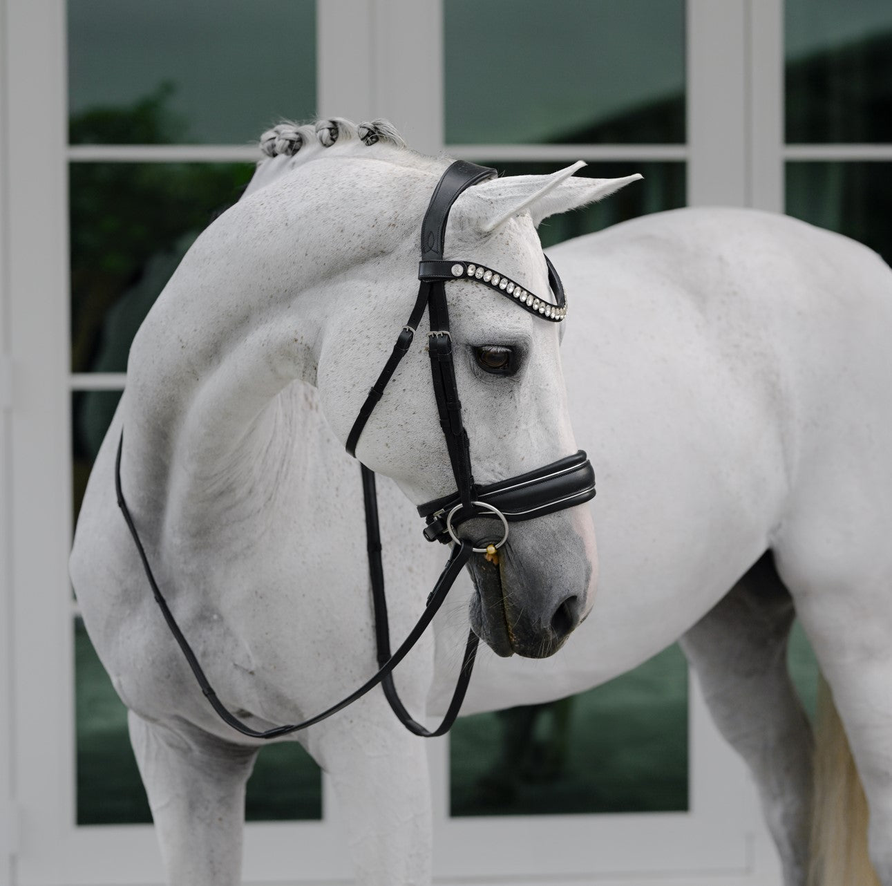'Diva' leather bridle (cavesson) (Lumi Pony) - Lumiere Equestrian