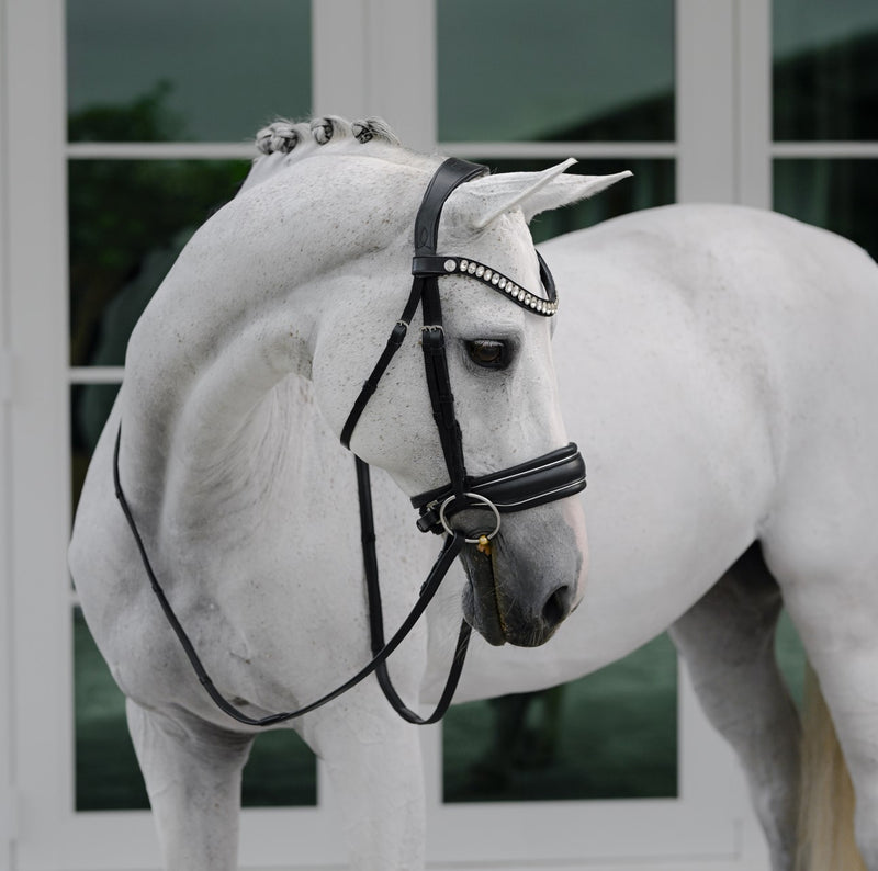 Diva bridle (cavesson)
