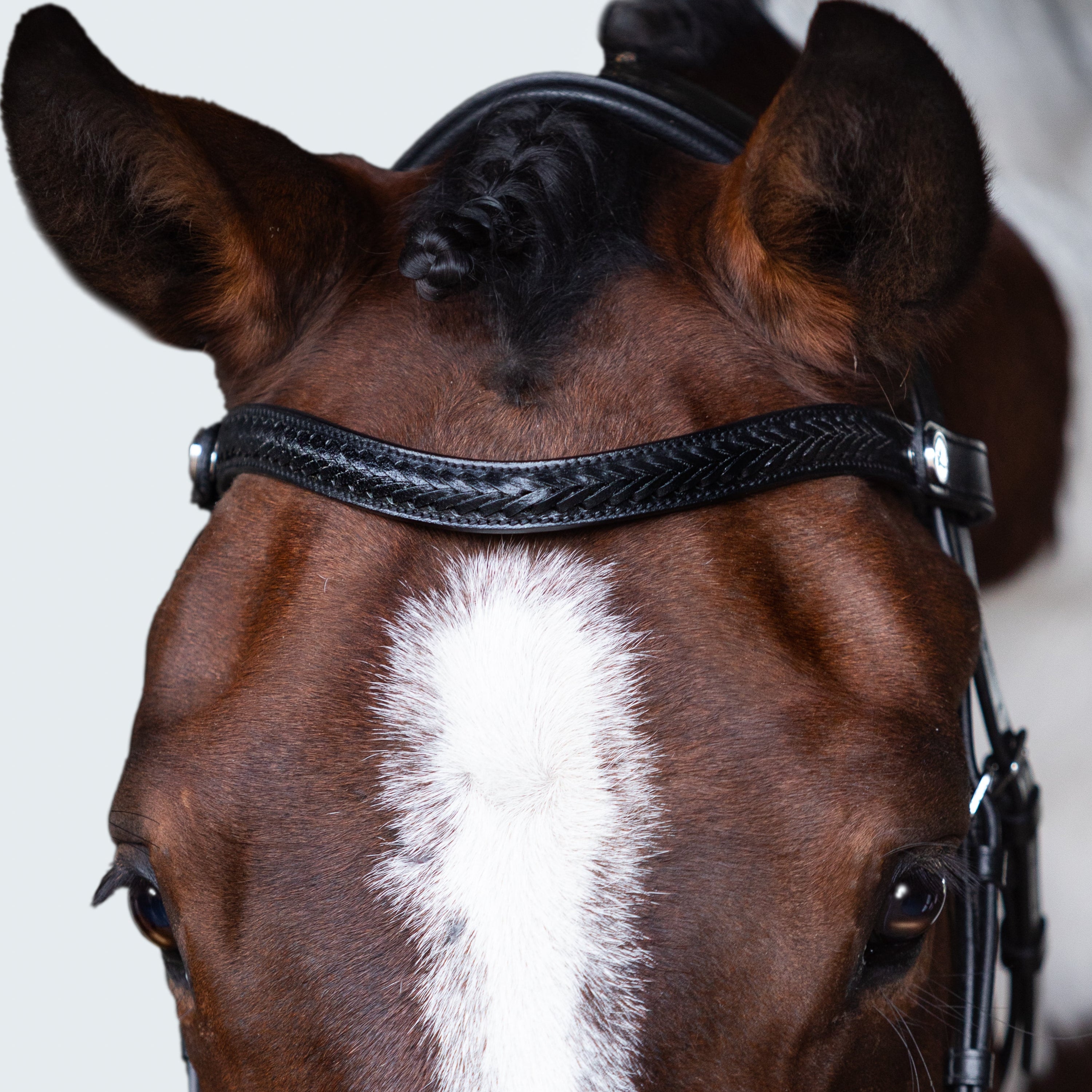Sansa Nosebandless Bridle - Lumiere Equestrian