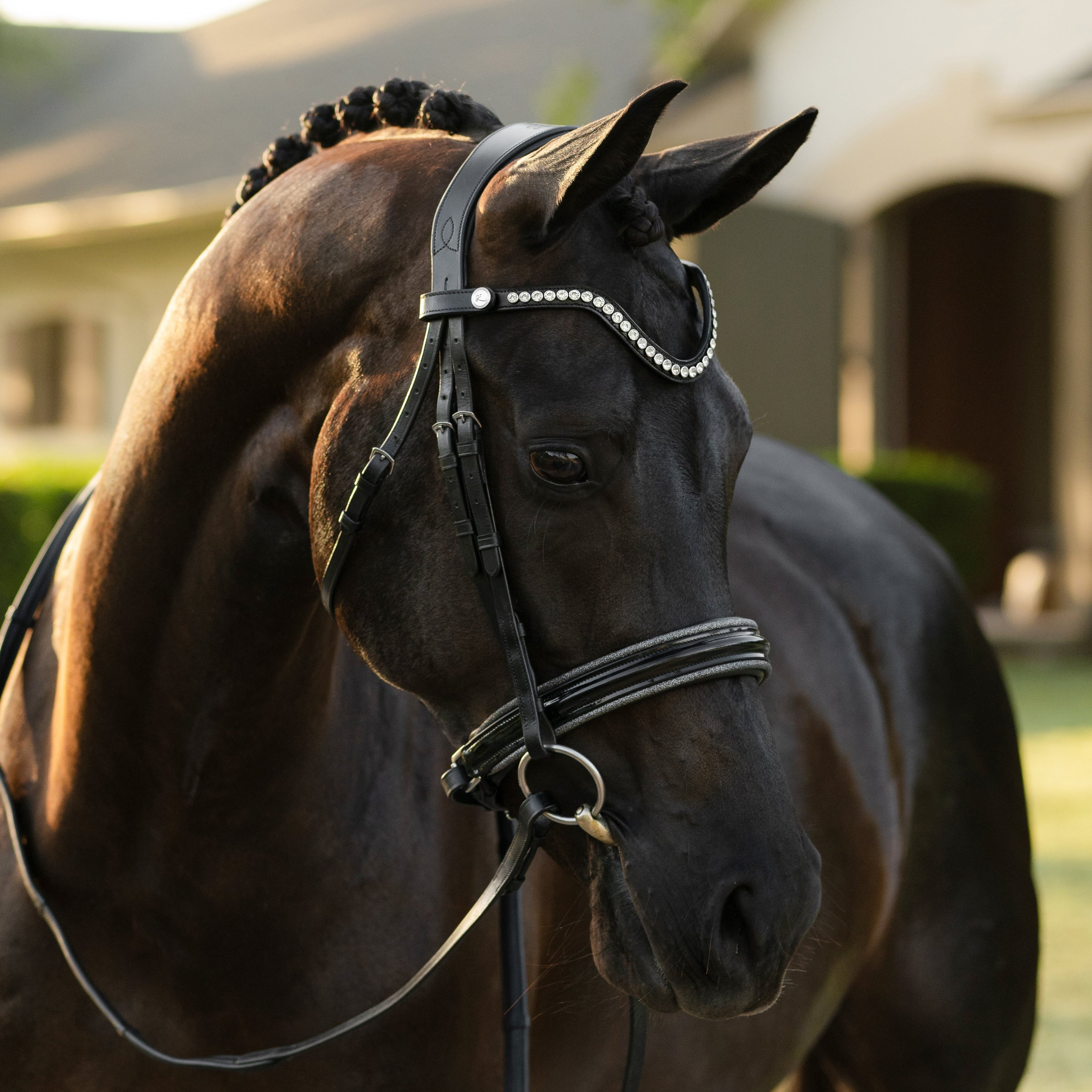 Saphira Bridle (cavesson) - Lumiere Equestrian