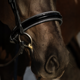 Saphira Bridle (cavesson) - Lumiere Equestrian