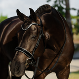 Saphira Bridle (cavesson) - Lumiere Equestrian