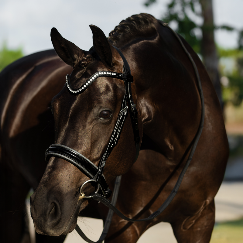 Saphira Bridle (cavesson) - Lumiere Equestrian