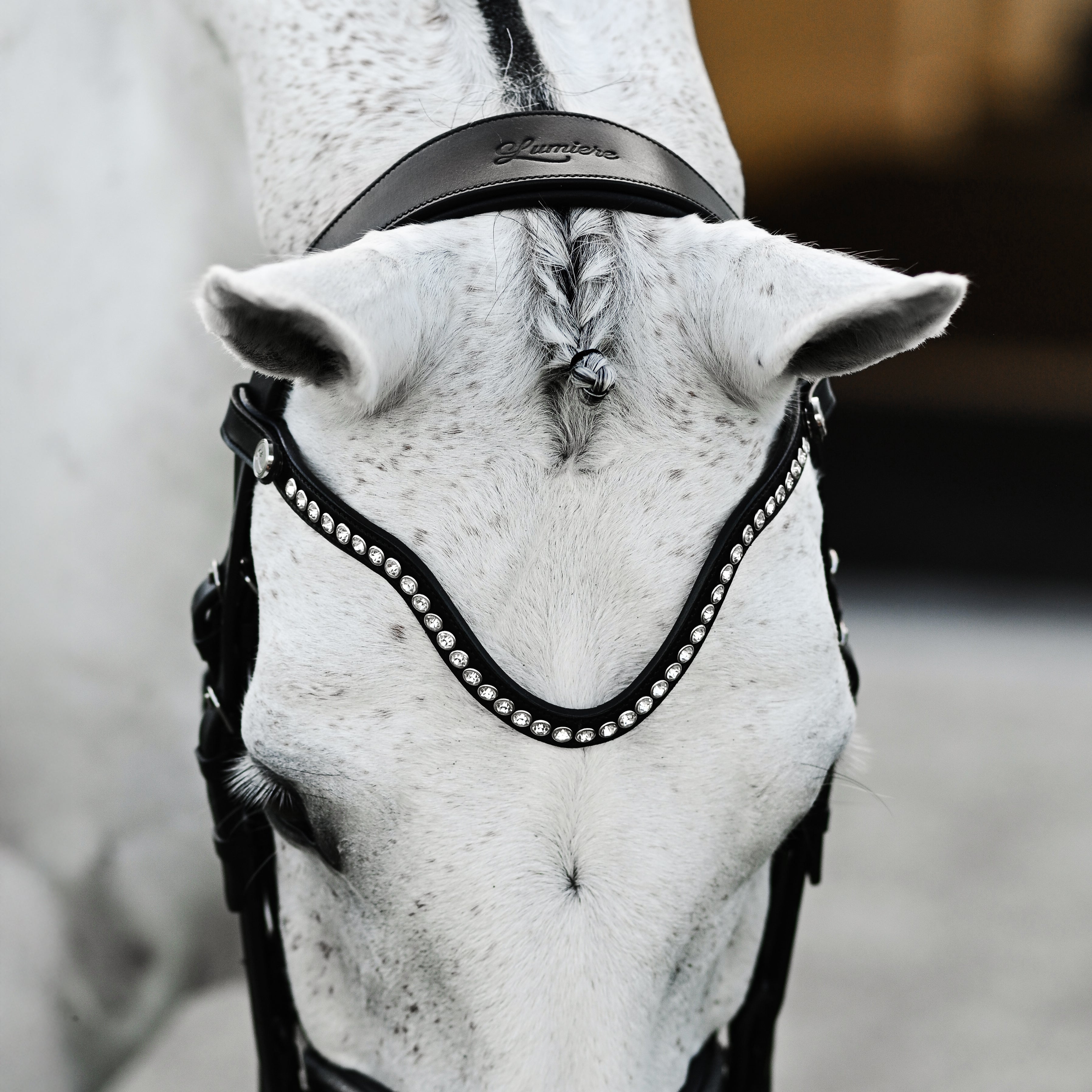 Saphira Bridle (double) - Lumiere Equestrian