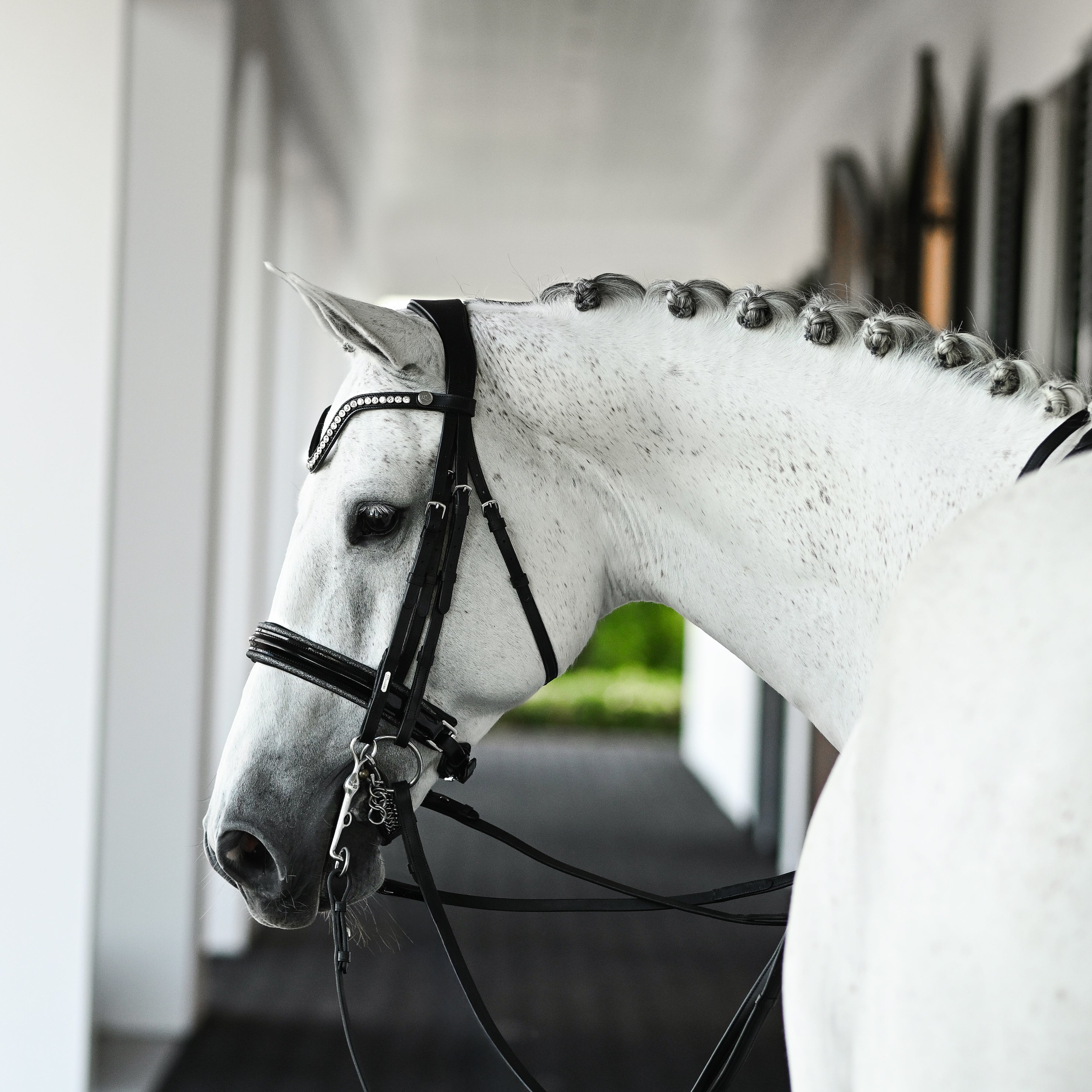 Saphira Bridle (double) - Lumiere Equestrian